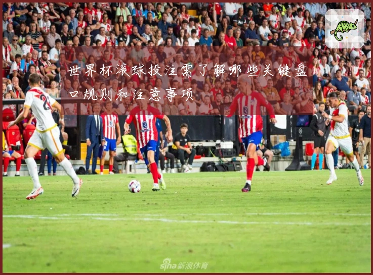 世界杯滚球投注需了解哪些关键盘口规则和注意事项