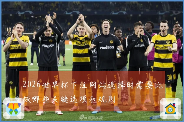 2026世界杯下注网站选择时需要比较哪些关键选项和规则
