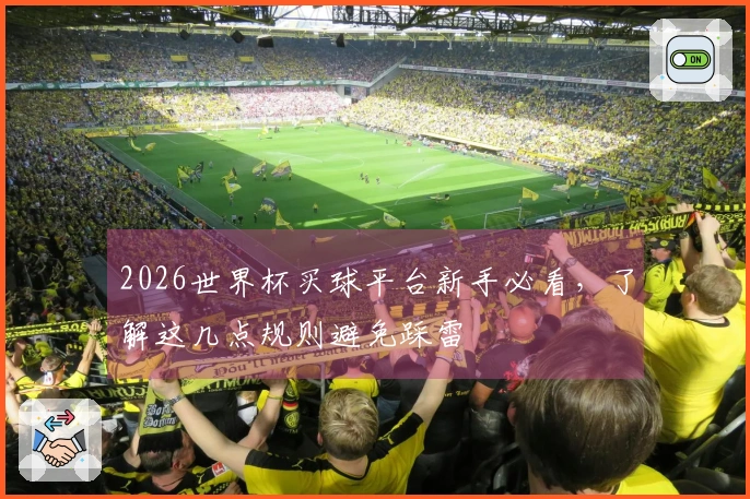 2026世界杯买球平台新手必看，了解这几点规则避免踩雷