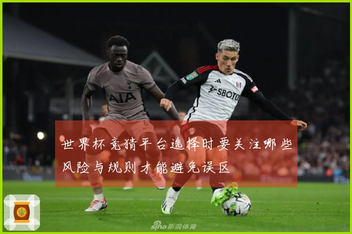 世界杯竞猜平台选择时要关注哪些风险与规则才能避免误区