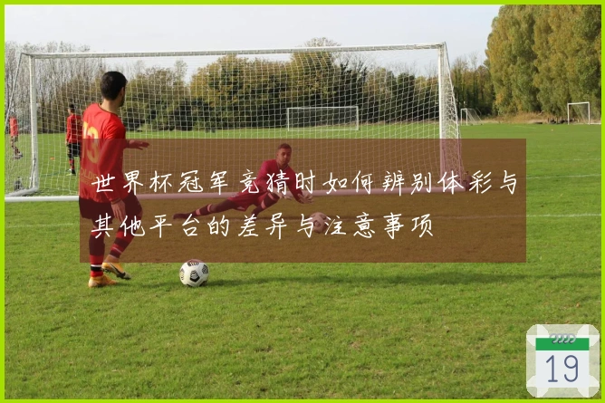 世界杯冠军竞猜时如何辨别体彩与其他平台的差异与注意事项