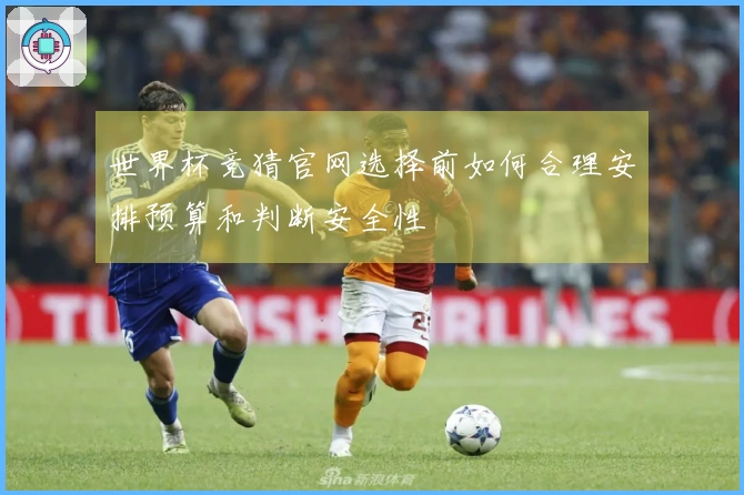 世界杯竞猜官网选择前如何合理安排预算和判断安全性