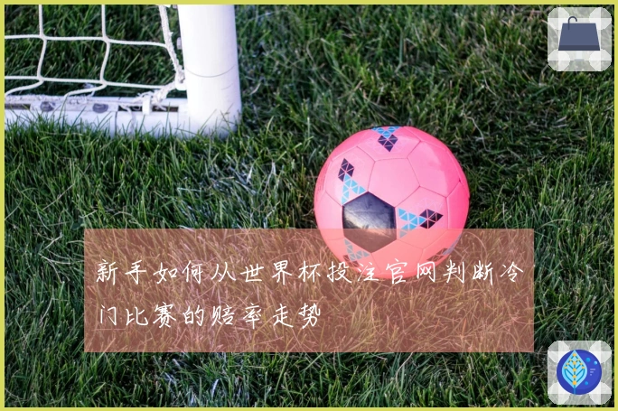 新手如何从世界杯投注官网判断冷门比赛的赔率走势