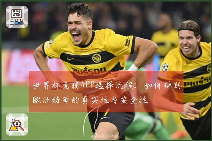 世界杯竞猜APP选择流程：如何辨别欧洲赔率的真实性与安全性