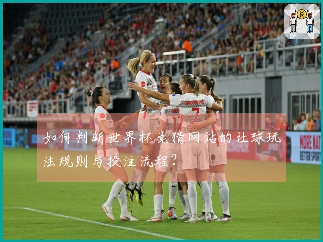 如何判断世界杯竞猜网站的让球玩法规则与投注流程？