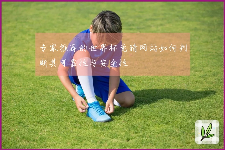 专家推荐的世界杯竞猜网站如何判断其可靠性与安全性