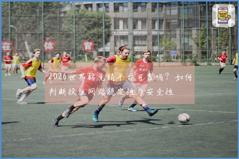 2026世界杯竞猜平台可靠吗？如何判断投注网站稳定性与安全性