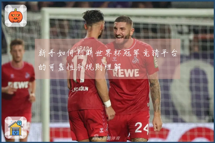 新手如何判断世界杯冠军竞猜平台的可靠性和规则理解