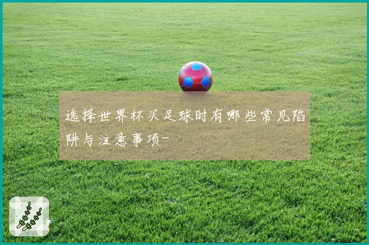 选择世界杯买足球时有哪些常见陷阱与注意事项-