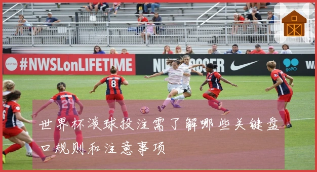 世界杯滚球投注需了解哪些关键盘口规则和注意事项