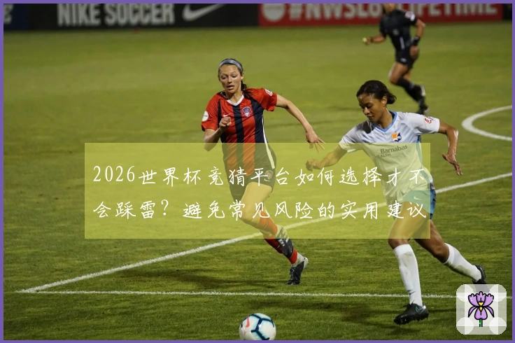 2026世界杯竞猜平台如何选择才不会踩雷？避免常见风险的实用建议