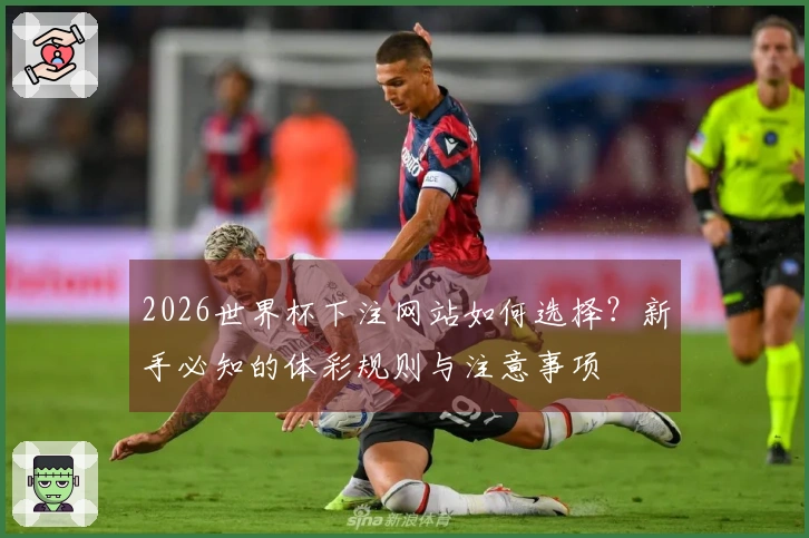 2026世界杯下注网站如何选择？新手必知的体彩规则与注意事项