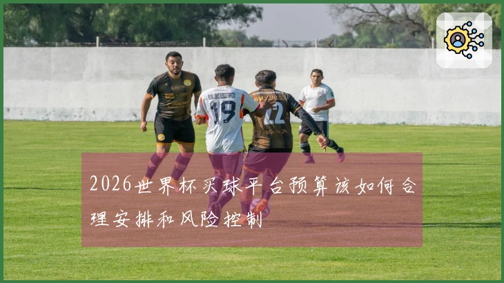2026世界杯买球平台预算该如何合理安排和风险控制