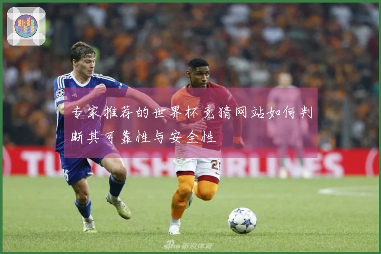 专家推荐的世界杯竞猜网站如何判断其可靠性与安全性