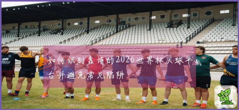 如何识别靠谱的2026世界杯买球平台并避免常见陷阱