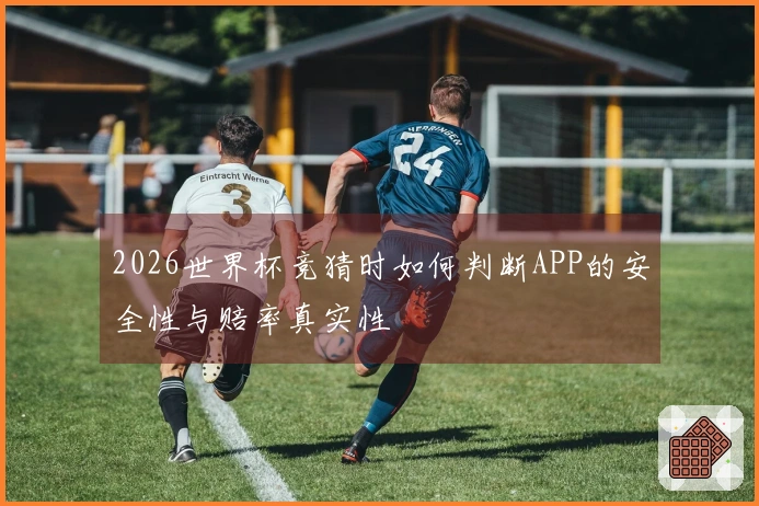 2026世界杯竞猜时如何判断APP的安全性与赔率真实性